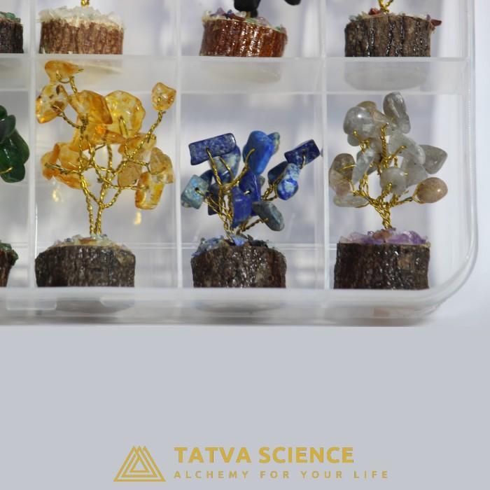 Small Tree Crystal Box4